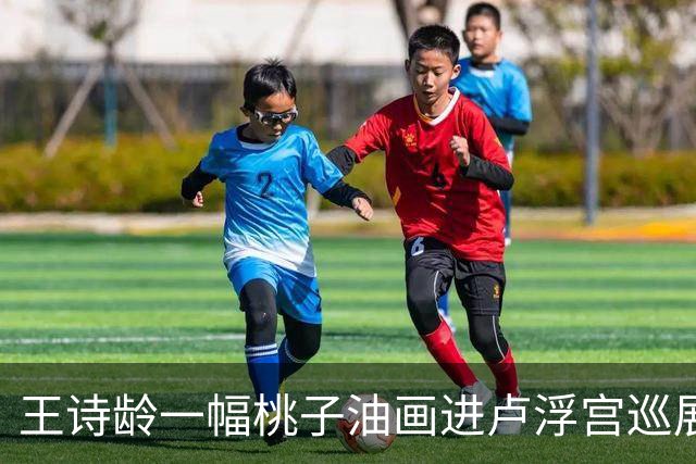 王诗龄一幅桃子油画进卢浮宫巡展，拍出145万高价！第二天被扒出来了，这个展厅只要花钱就能进